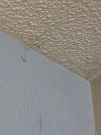 Corner of ceiling when coming in room