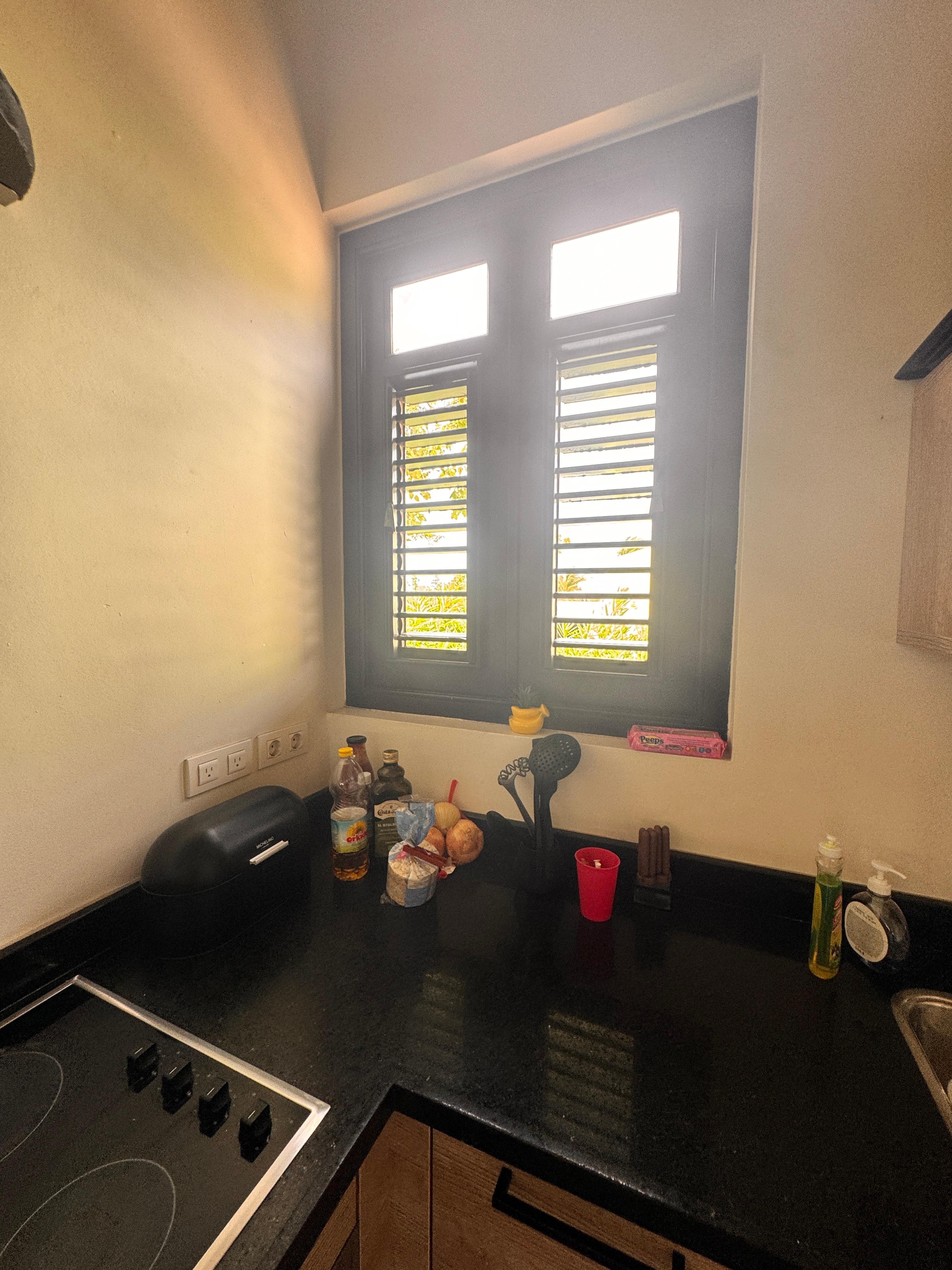 without mosquito screens