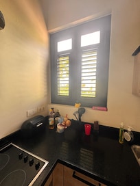 without mosquito screens