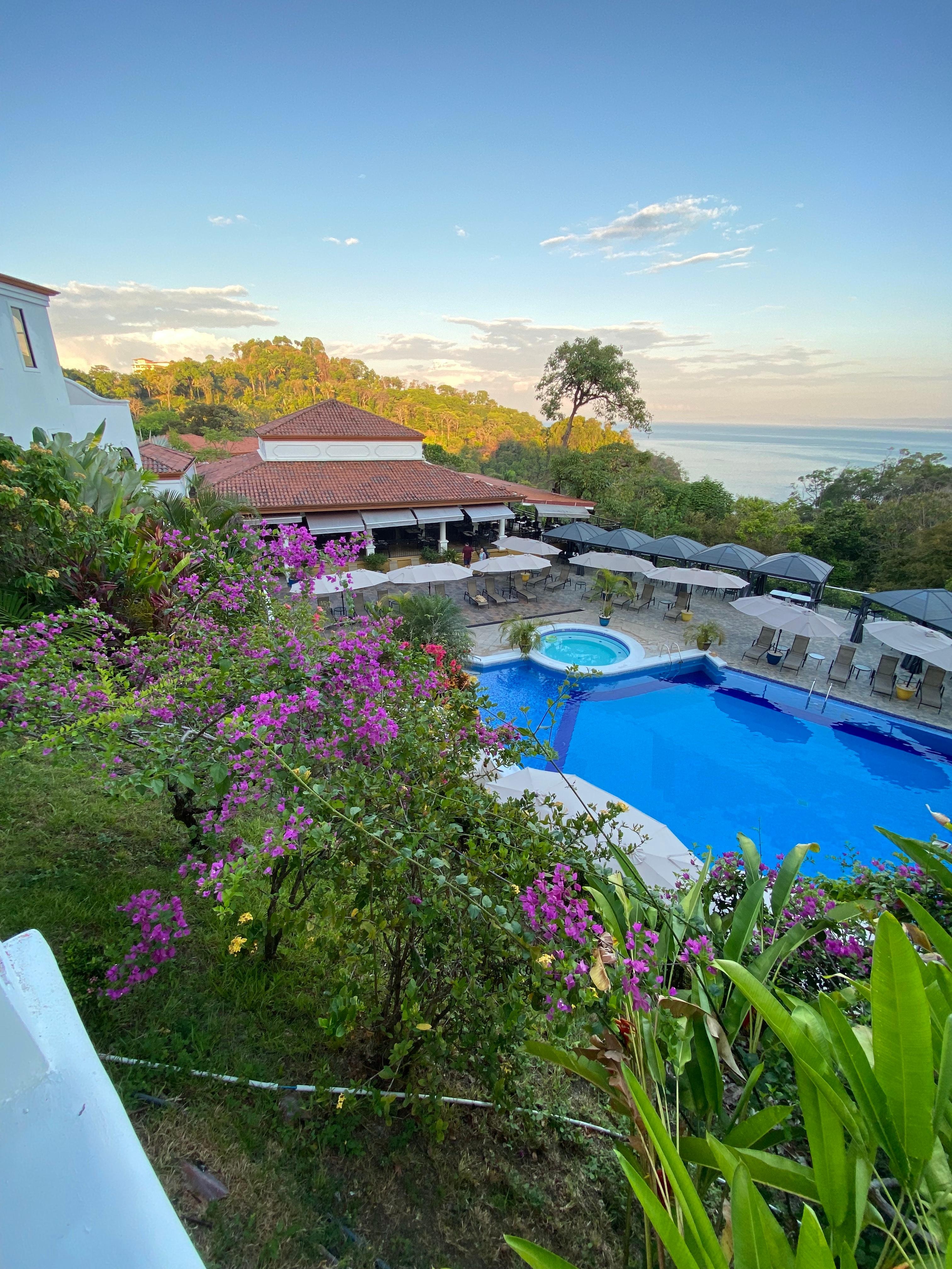 View from balcony day