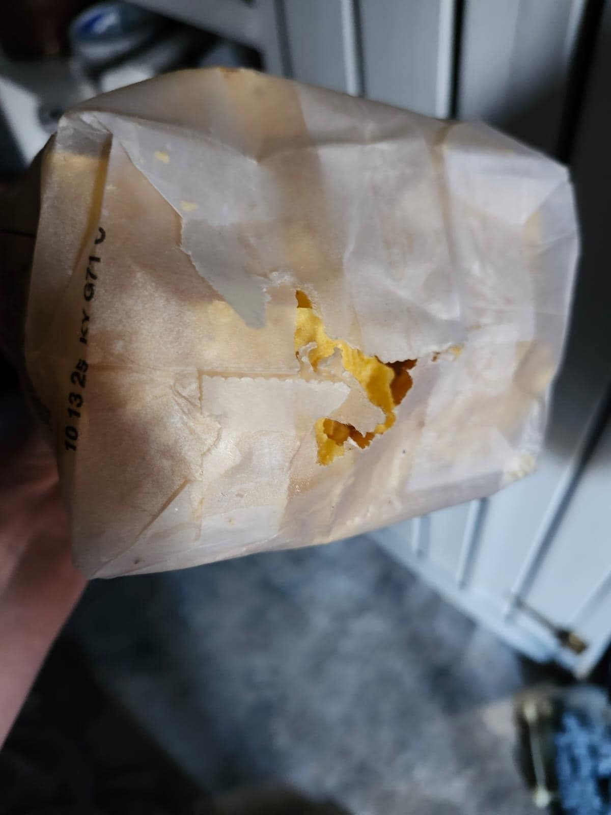 Evidence of mouse chewing through a bag of food.