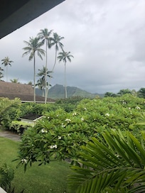 View from balcony, beautiful mountain