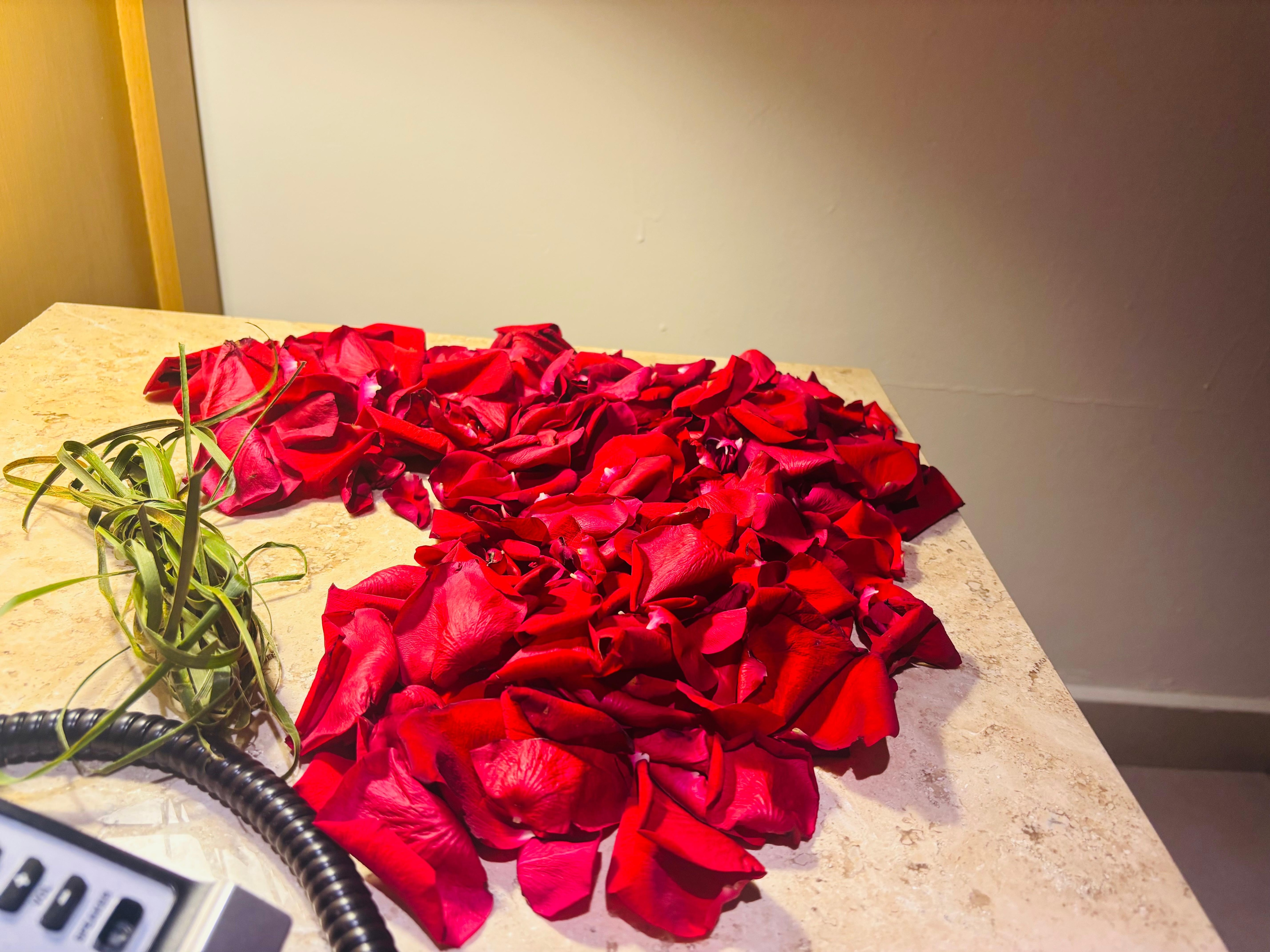 La antencion de nuestro Recamarista 