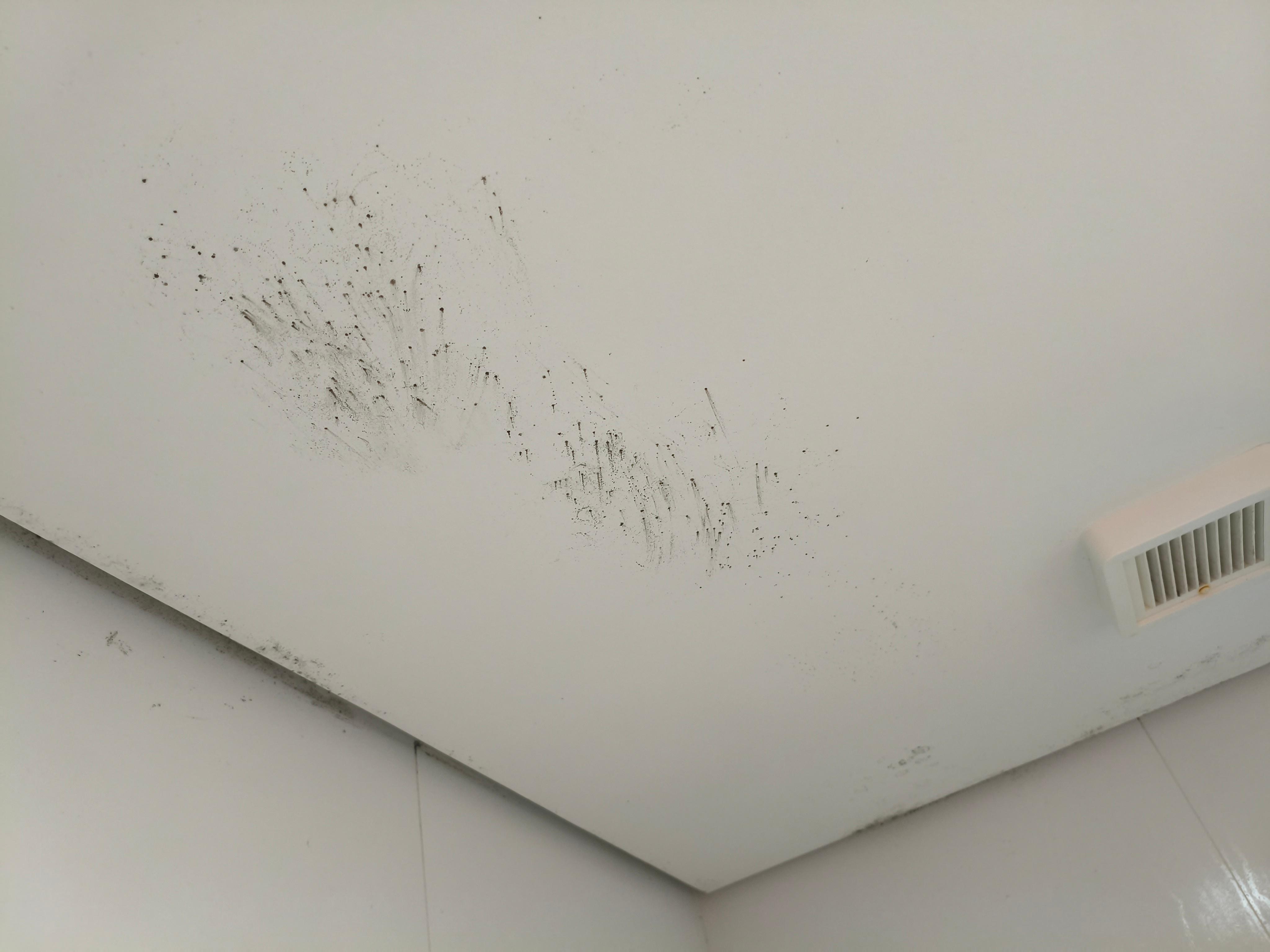 Mofo no teto do banheiro 