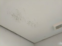 Mofo no teto do banheiro