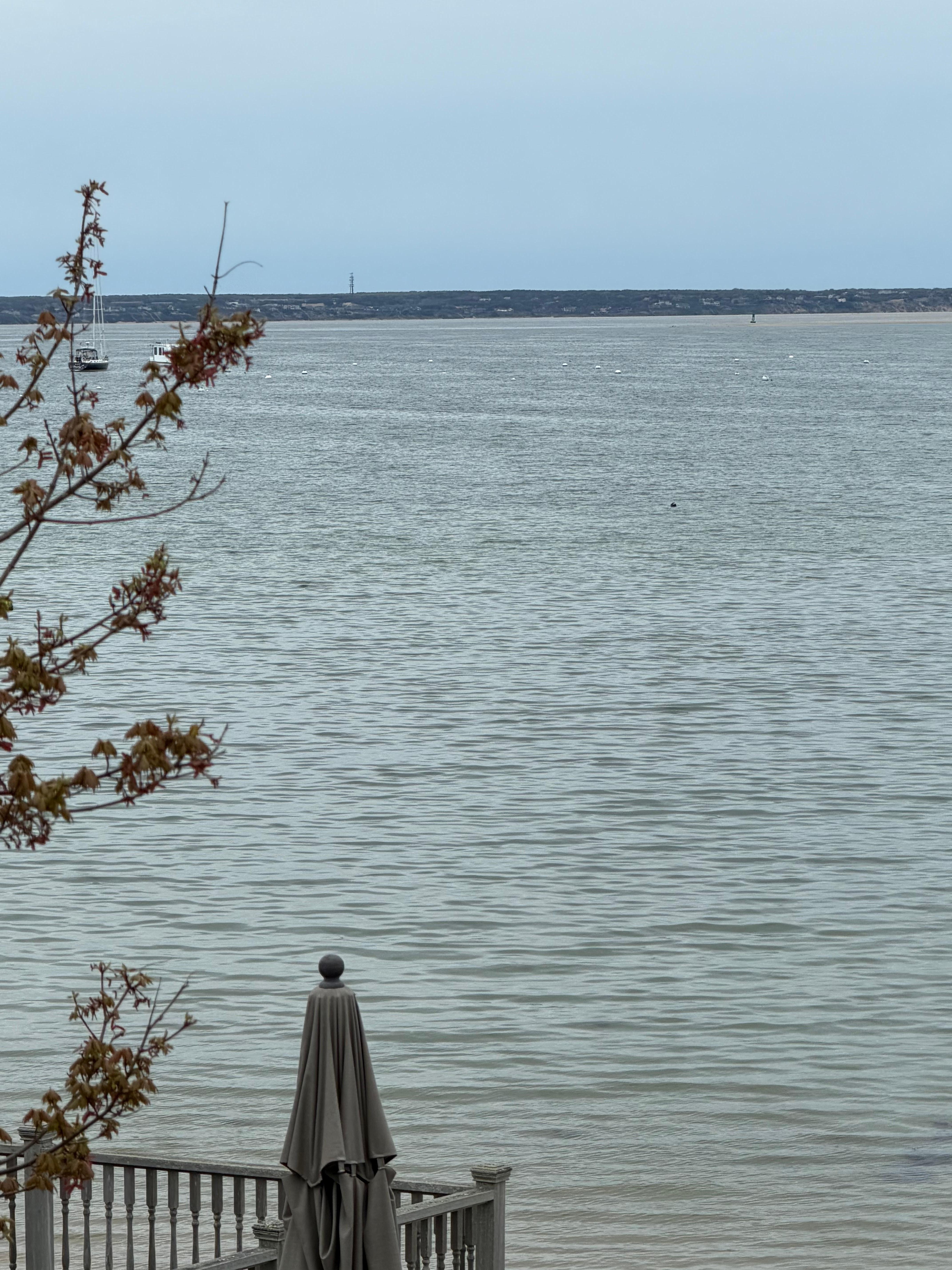 High tide from the deck