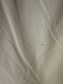 Blood on bedsheets