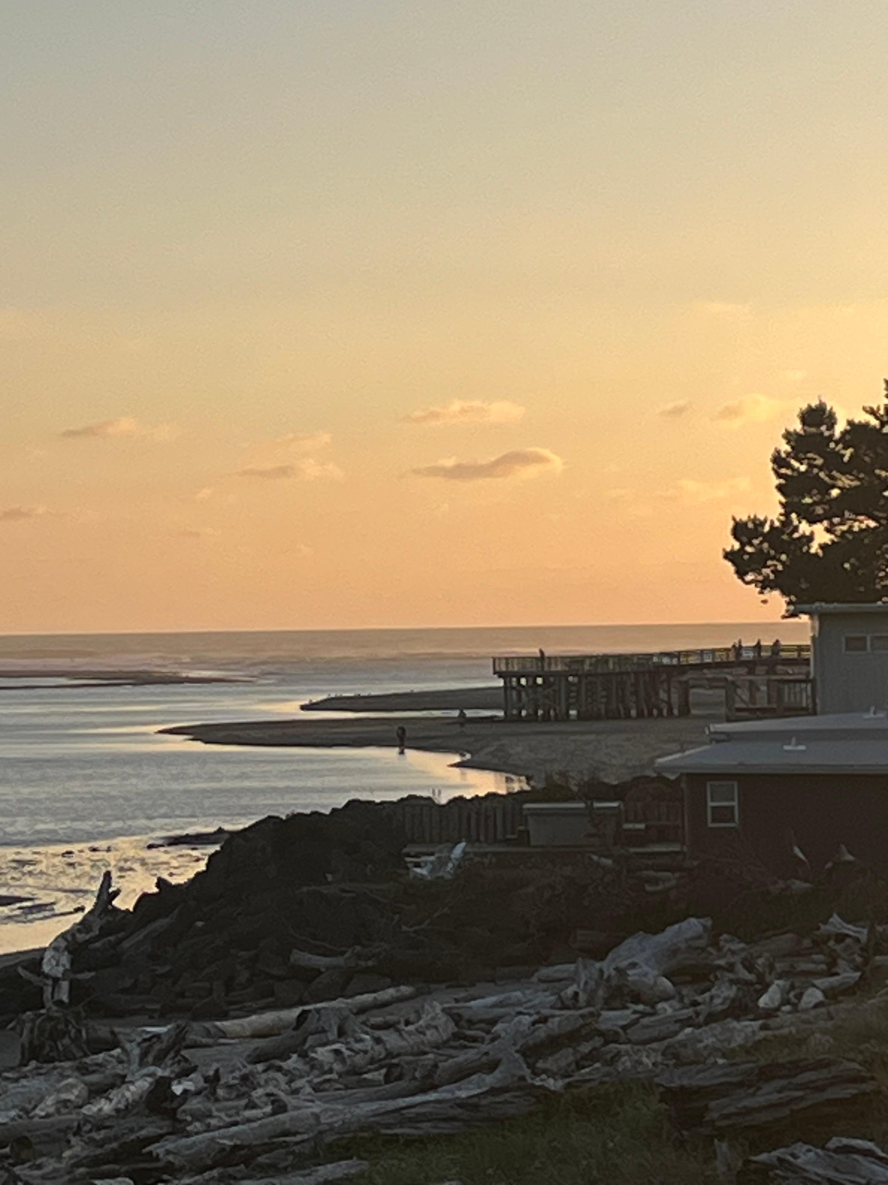 View from the patio 