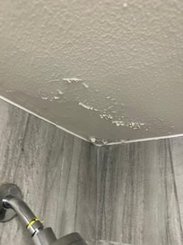 Peeling paint in shower