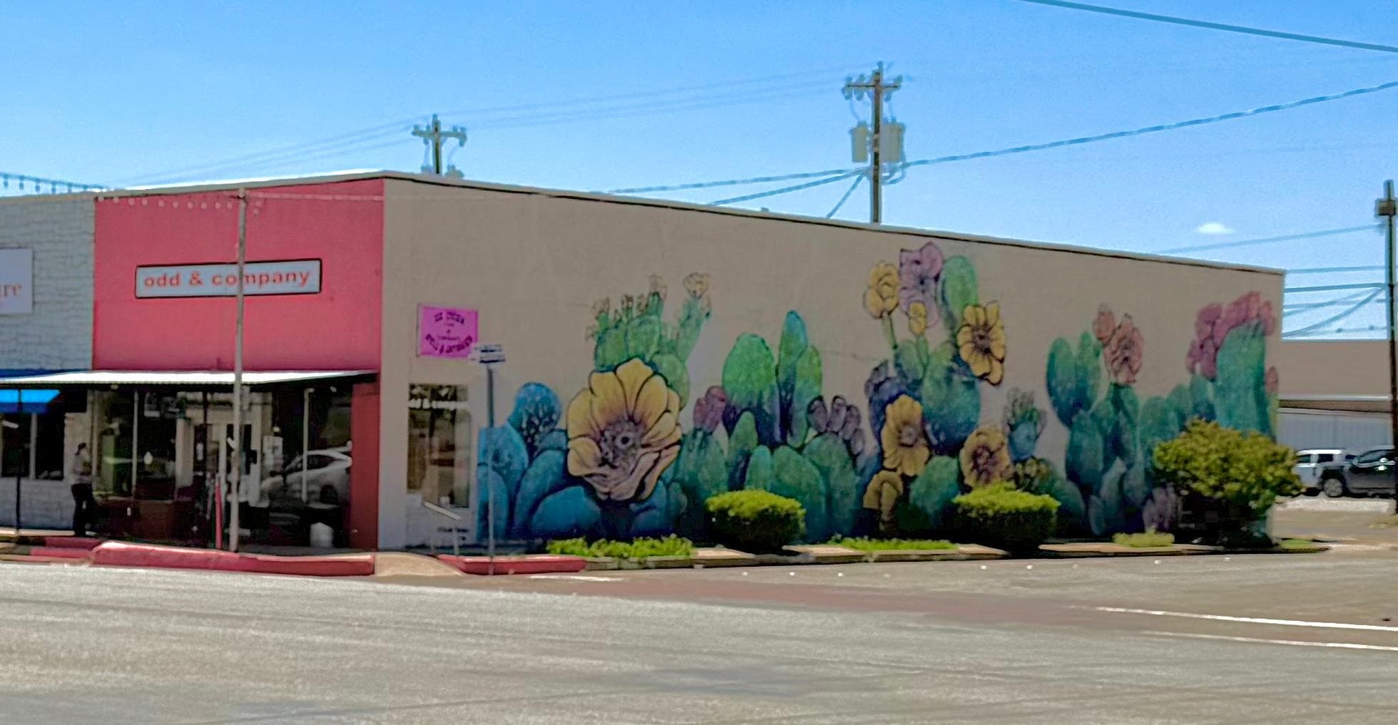 One of Coleman’s murals