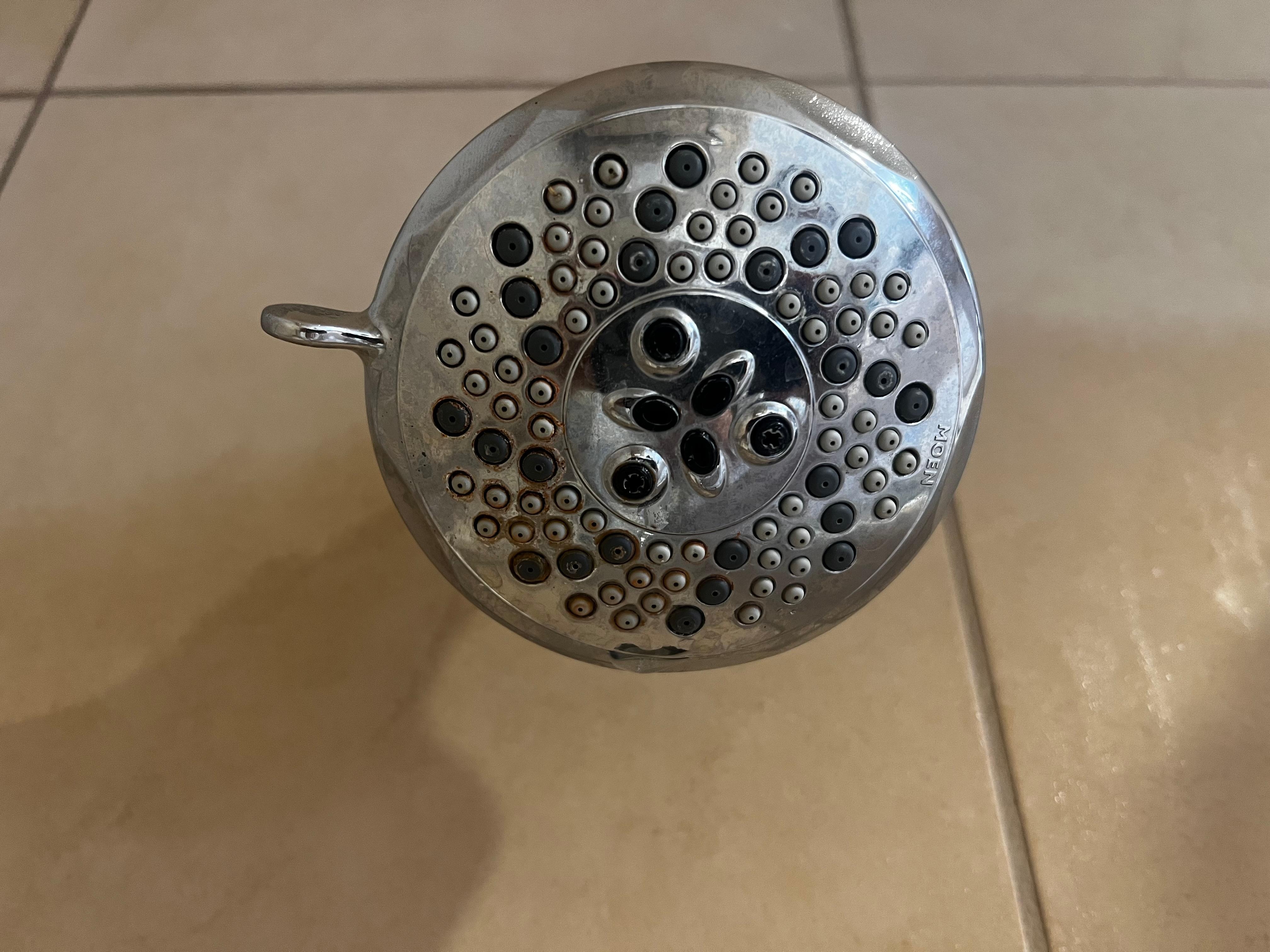 Rusted shower head