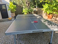 Table tennis