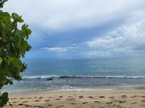 The view from the room