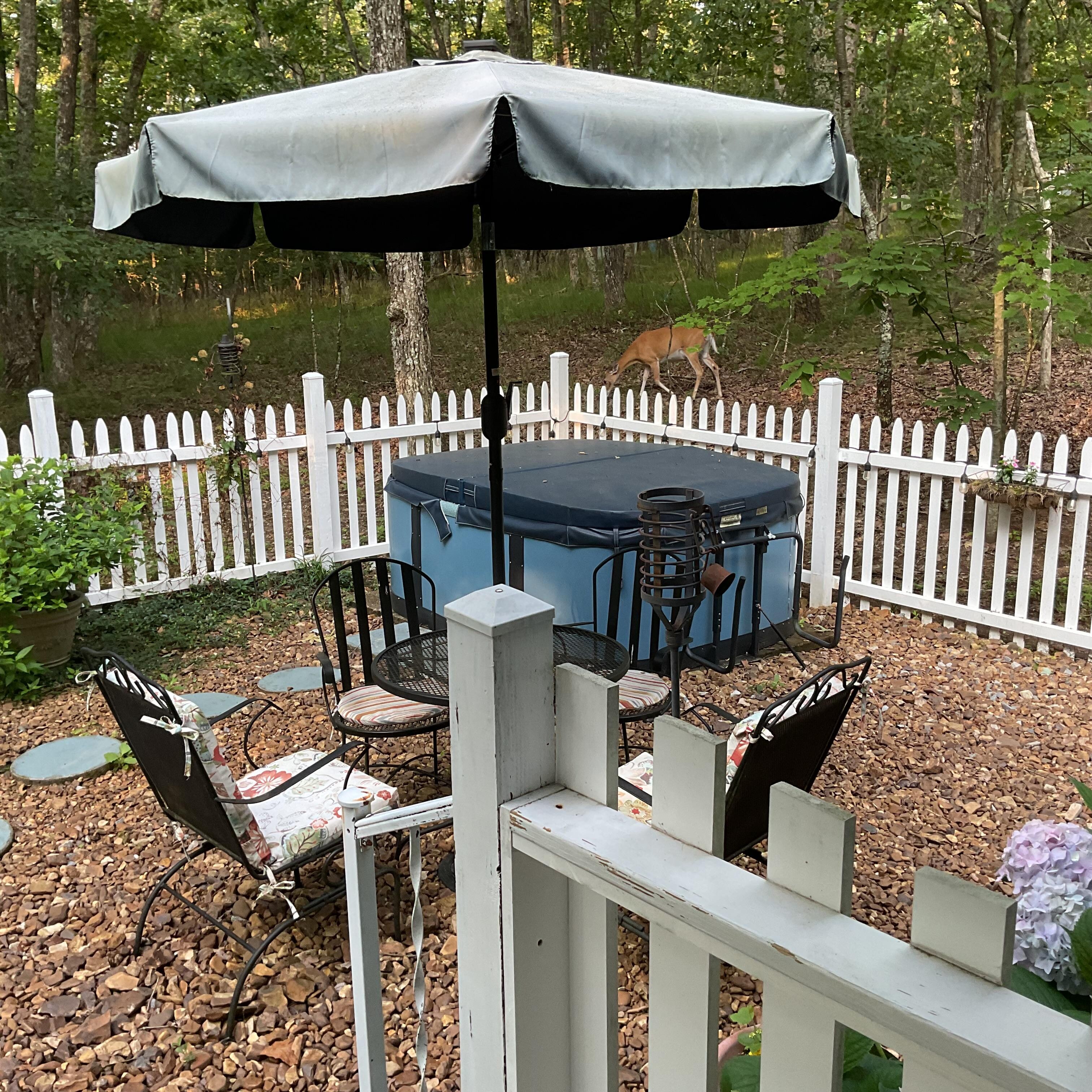 Table and chairs. Hot tub not available at the time.