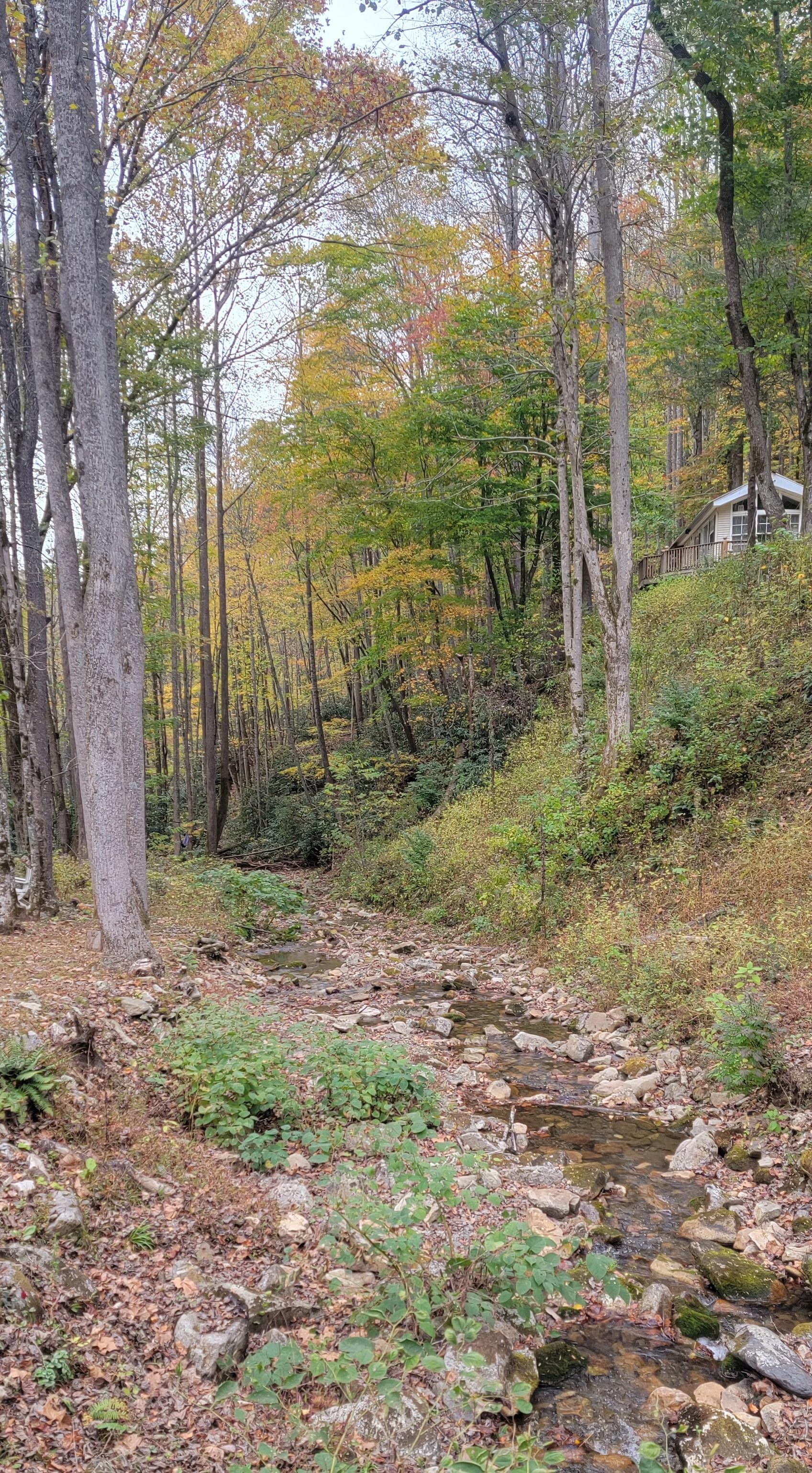 Tiny house right above the creek!