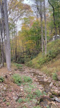 Tiny house right above the creek!