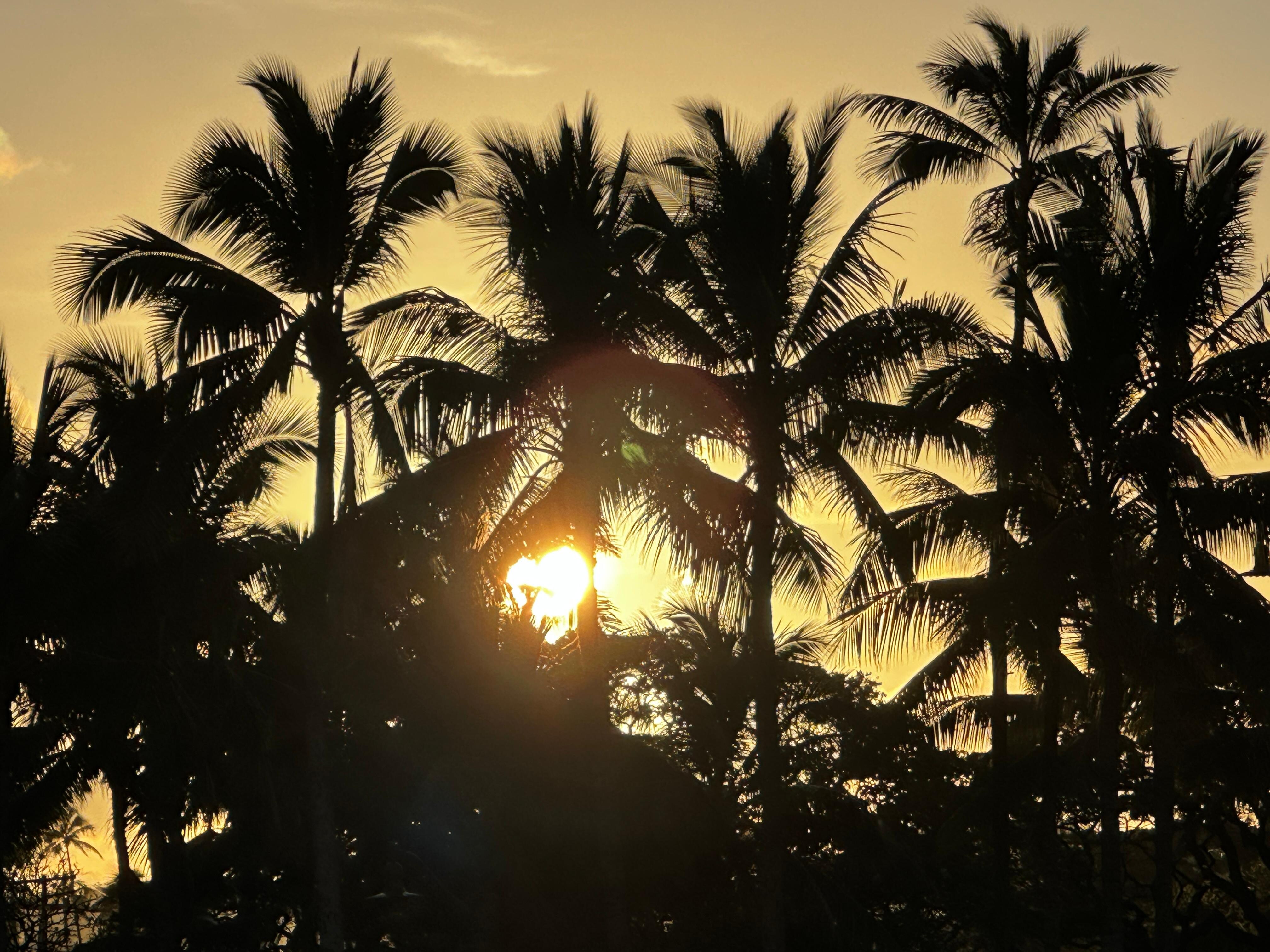Sunrise from the corner at Waikiki beach.