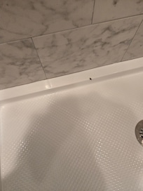 Roach in the bathroom.