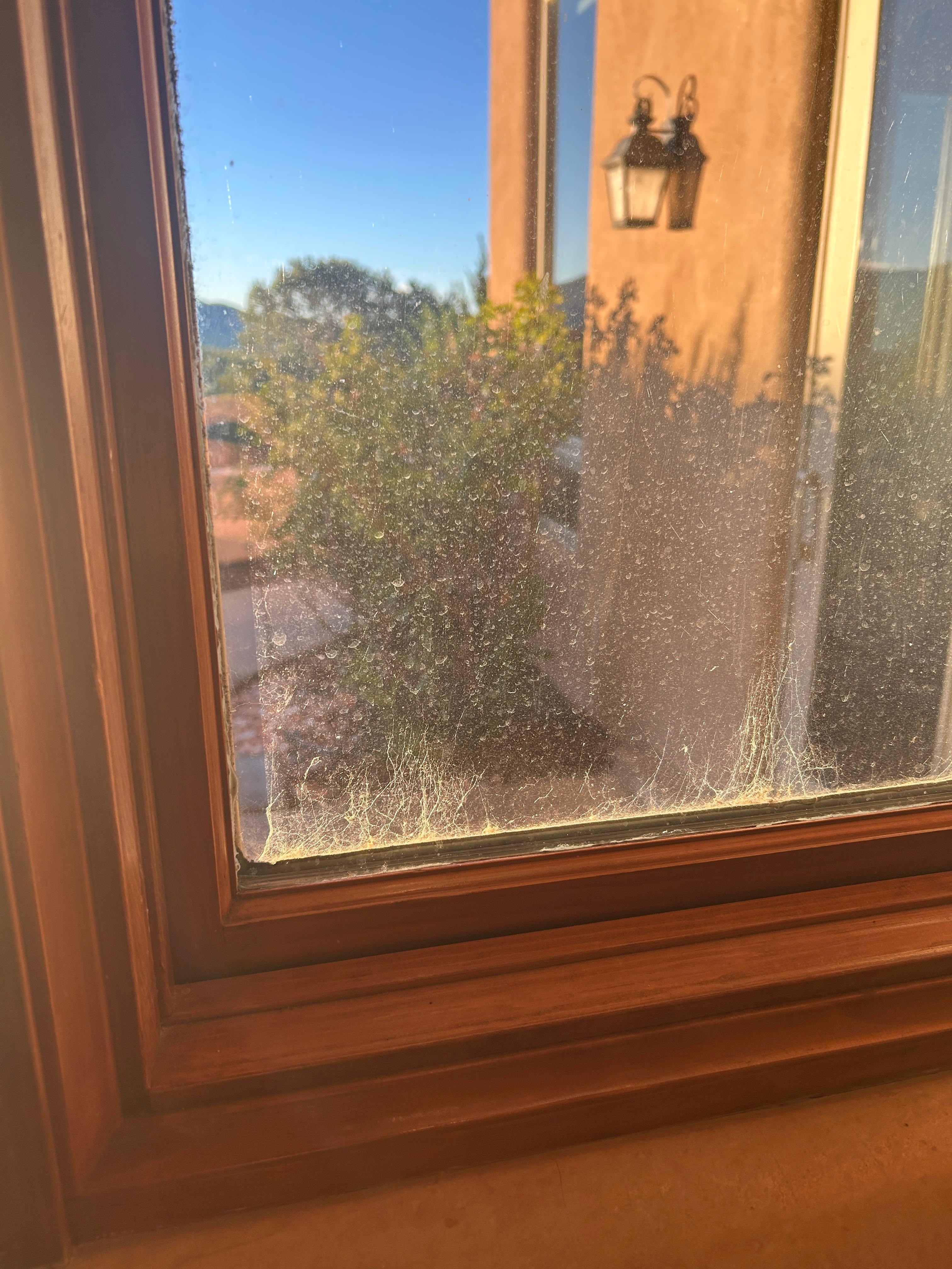 Windows need cleaning