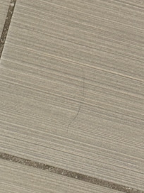 Hair on the floor
