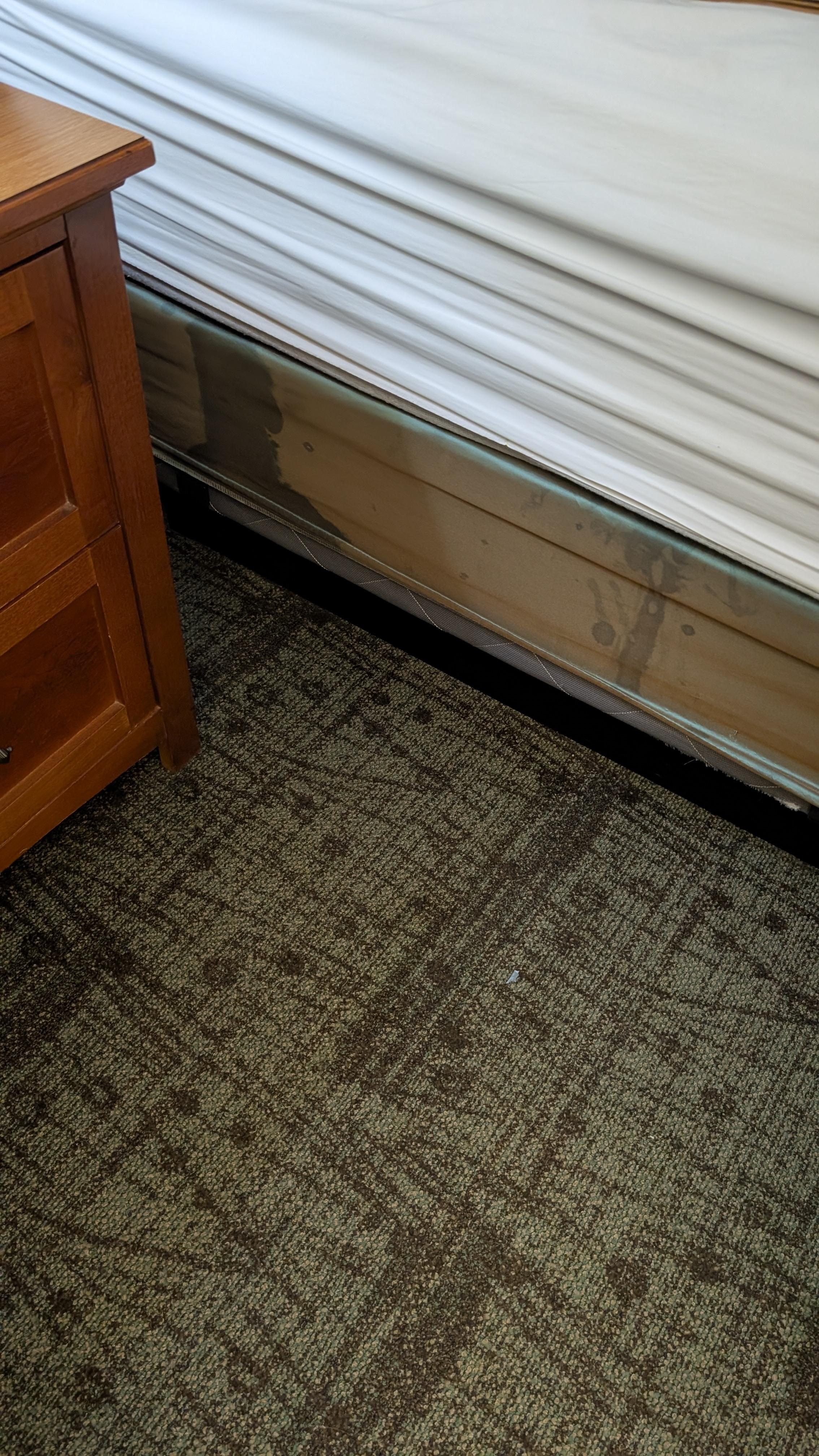 Too scared to check the condition of the mattress!