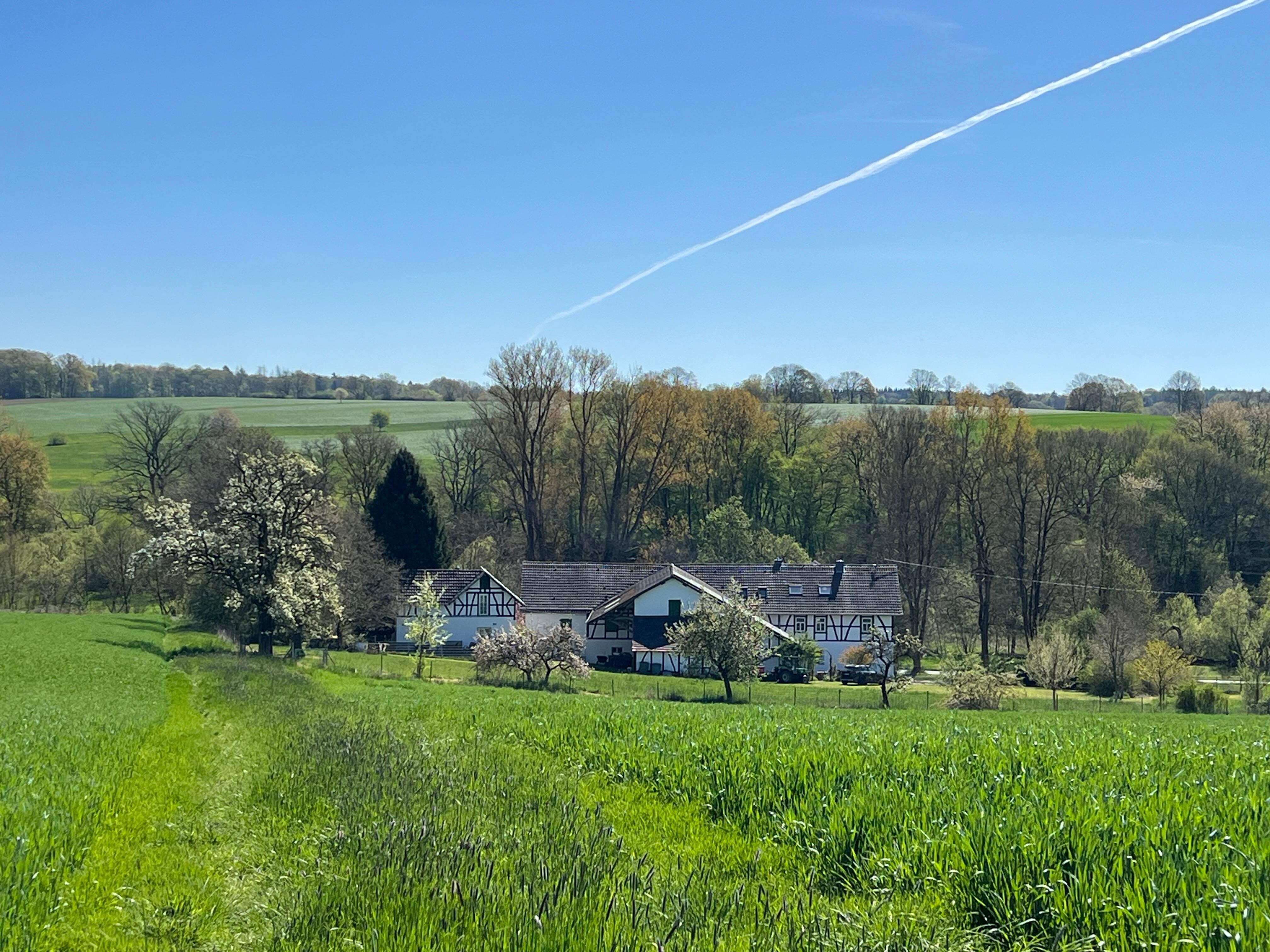 Uitzicht