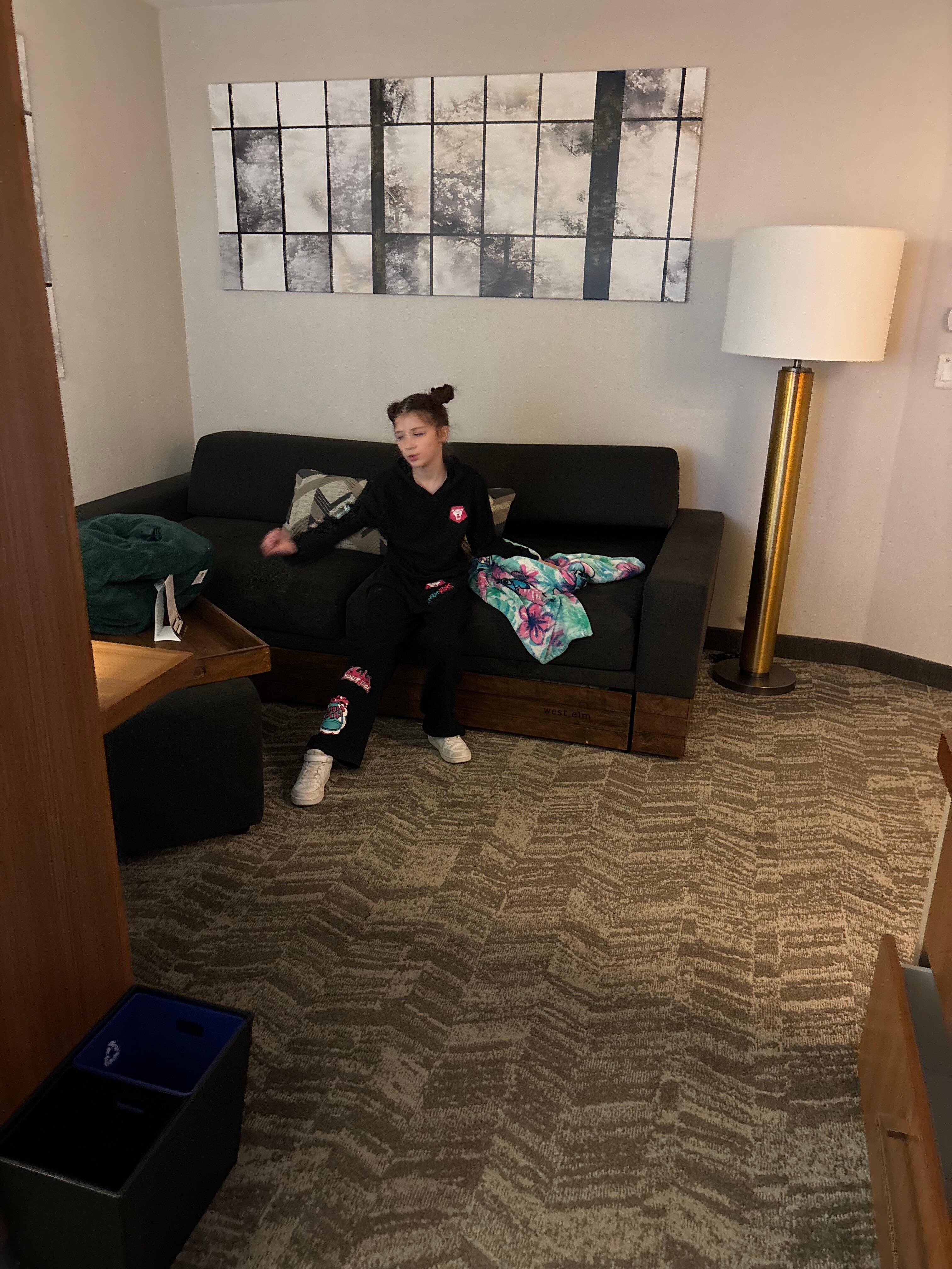 Couch sleeps 2 with trundle 