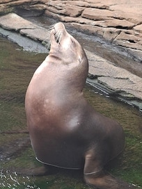 Aquarium in Boulogne-sur-mer