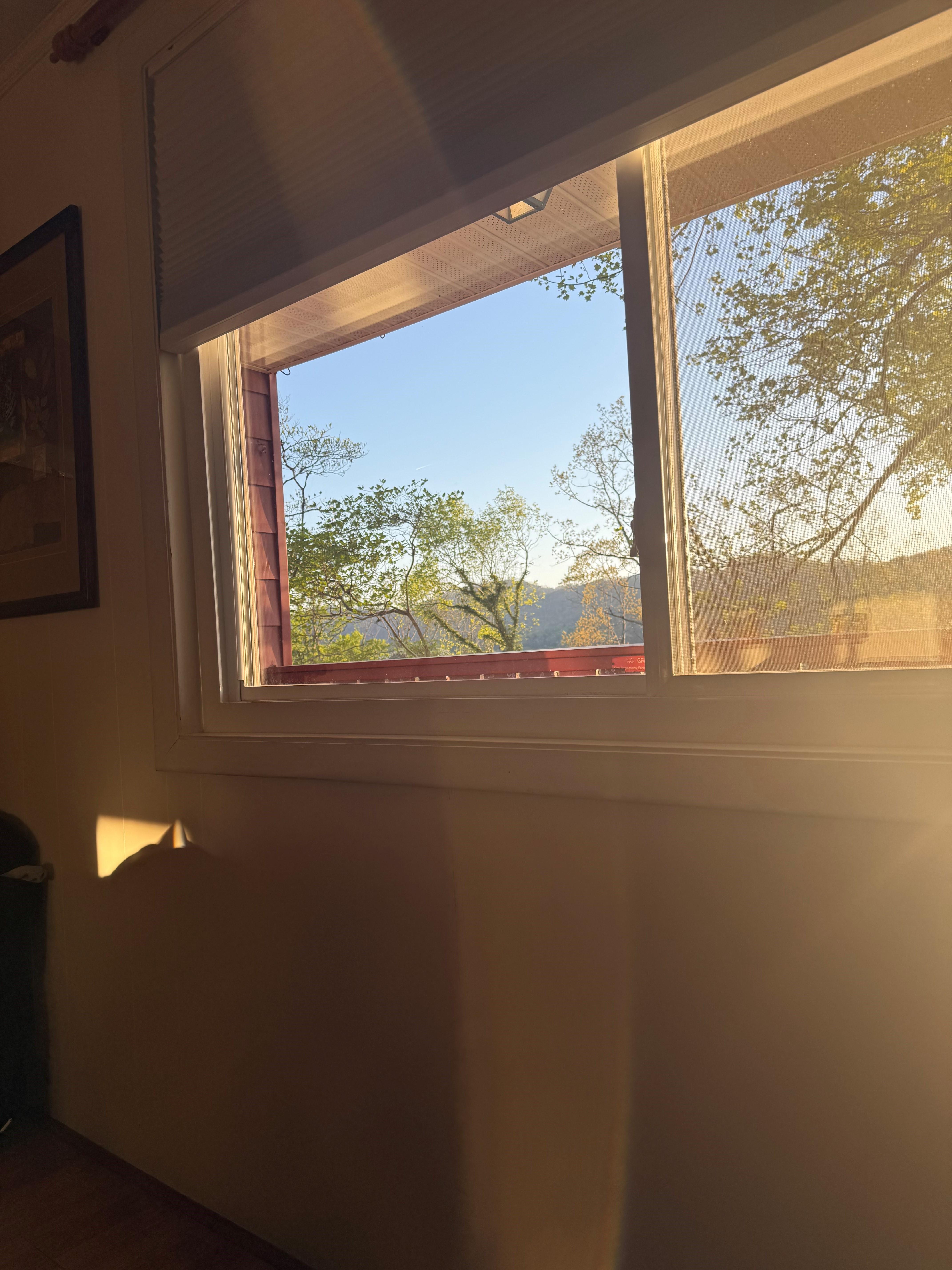 Wake-up views...
