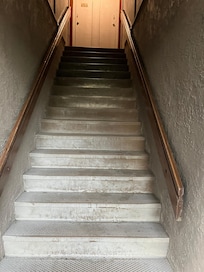 The first set of stairs-dirty, deep, dangerous for littles