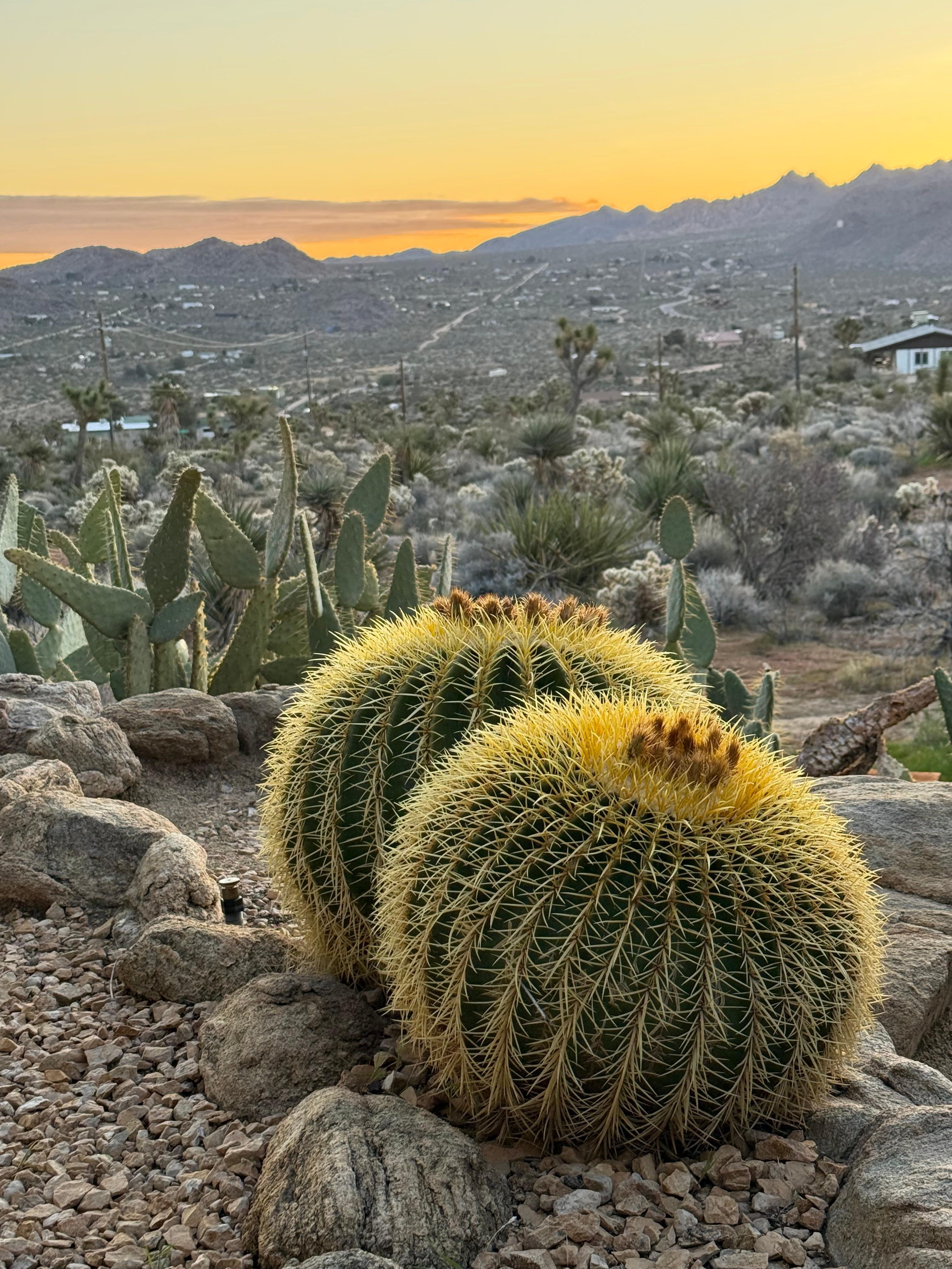 Sunrise looking east, towards park entrance