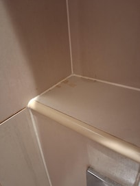 Shelf above toilet