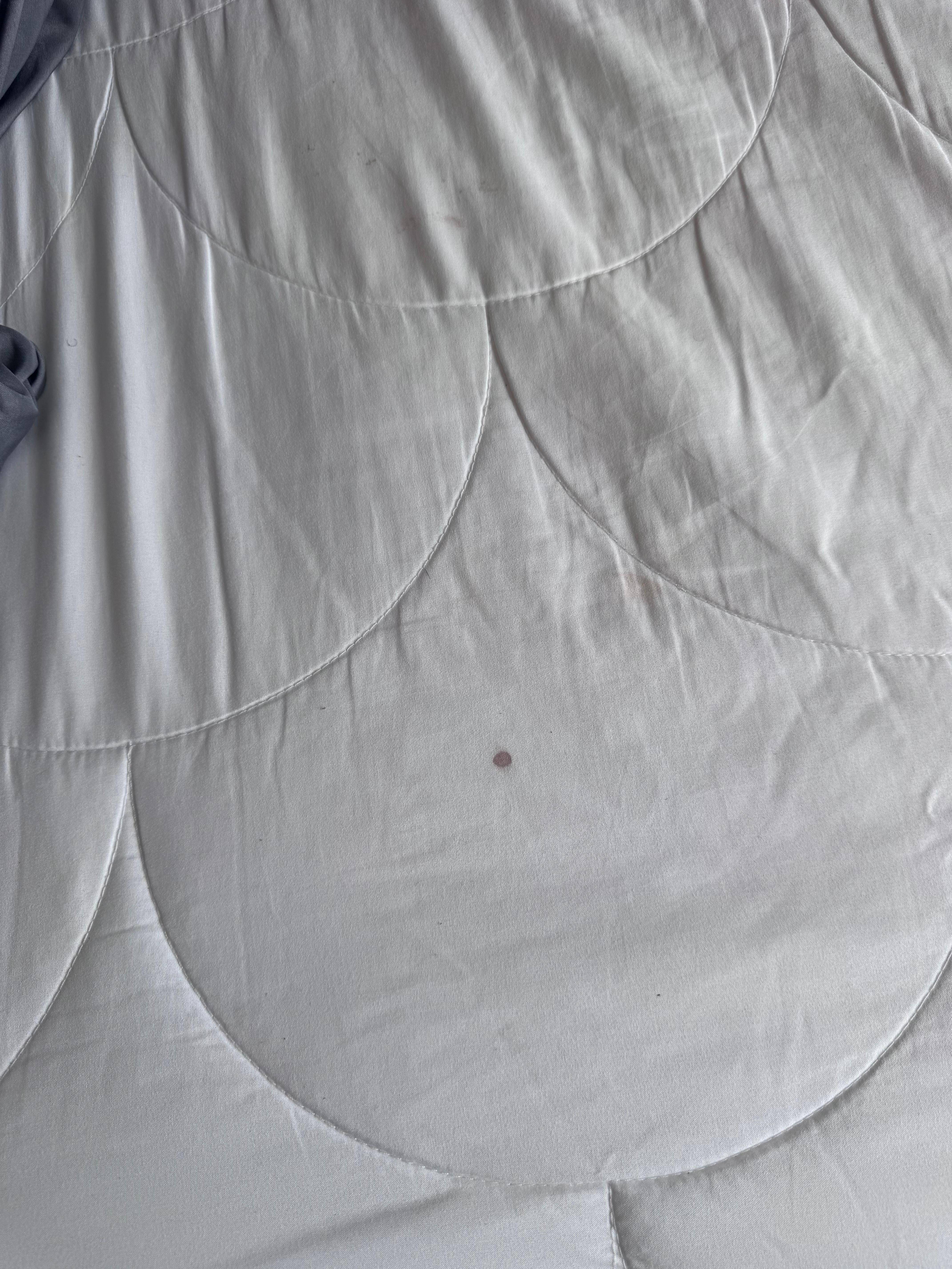 Bodily fluid it looked like blood on fitted sheet 