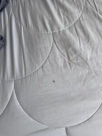 Bodily fluid it looked like blood on fitted sheet