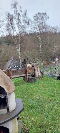 Blick auf den Garten