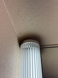 Bug on ceiling 2nd room