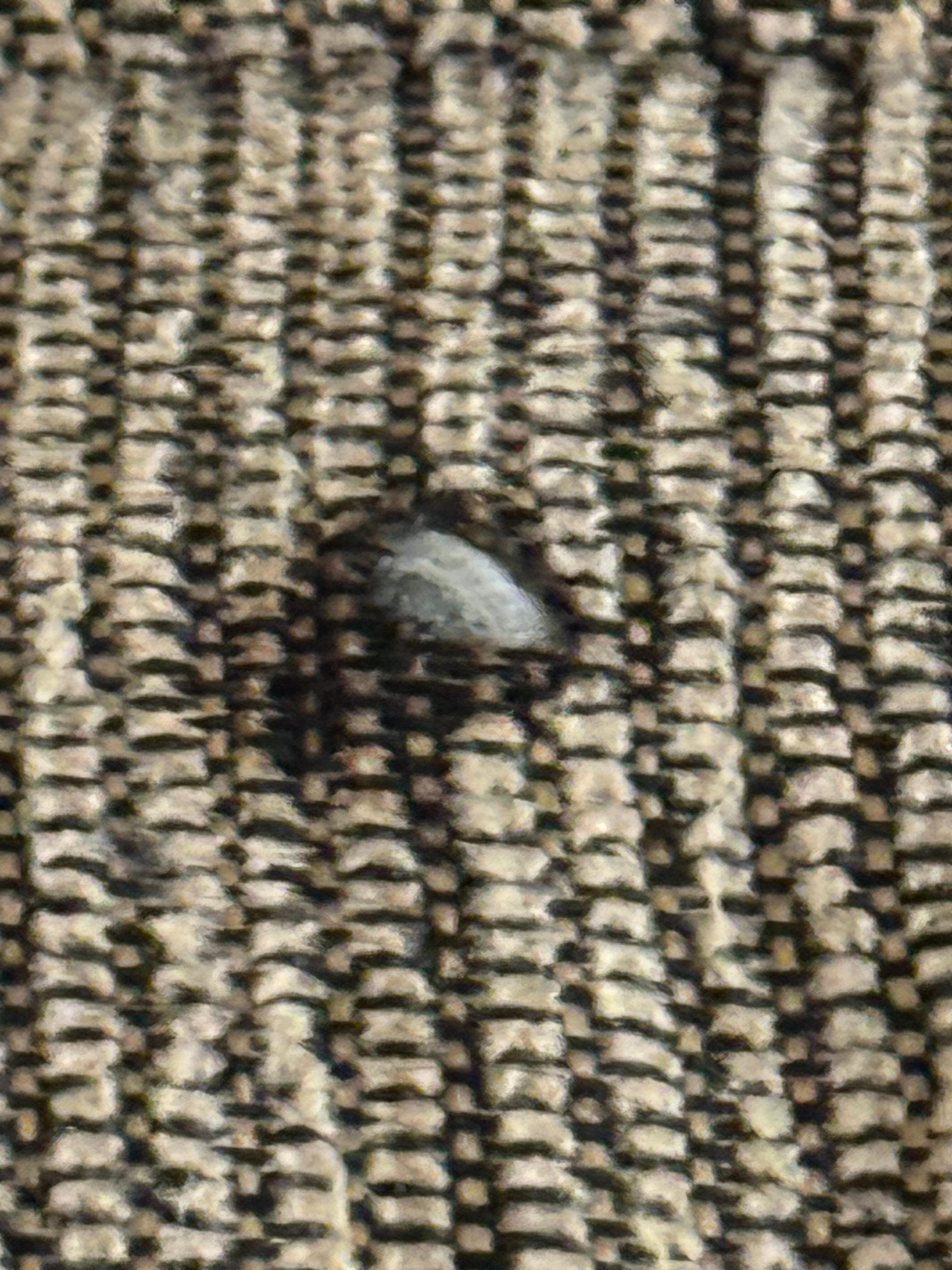 Cigarette hole in couch. Couch smells like smoke 