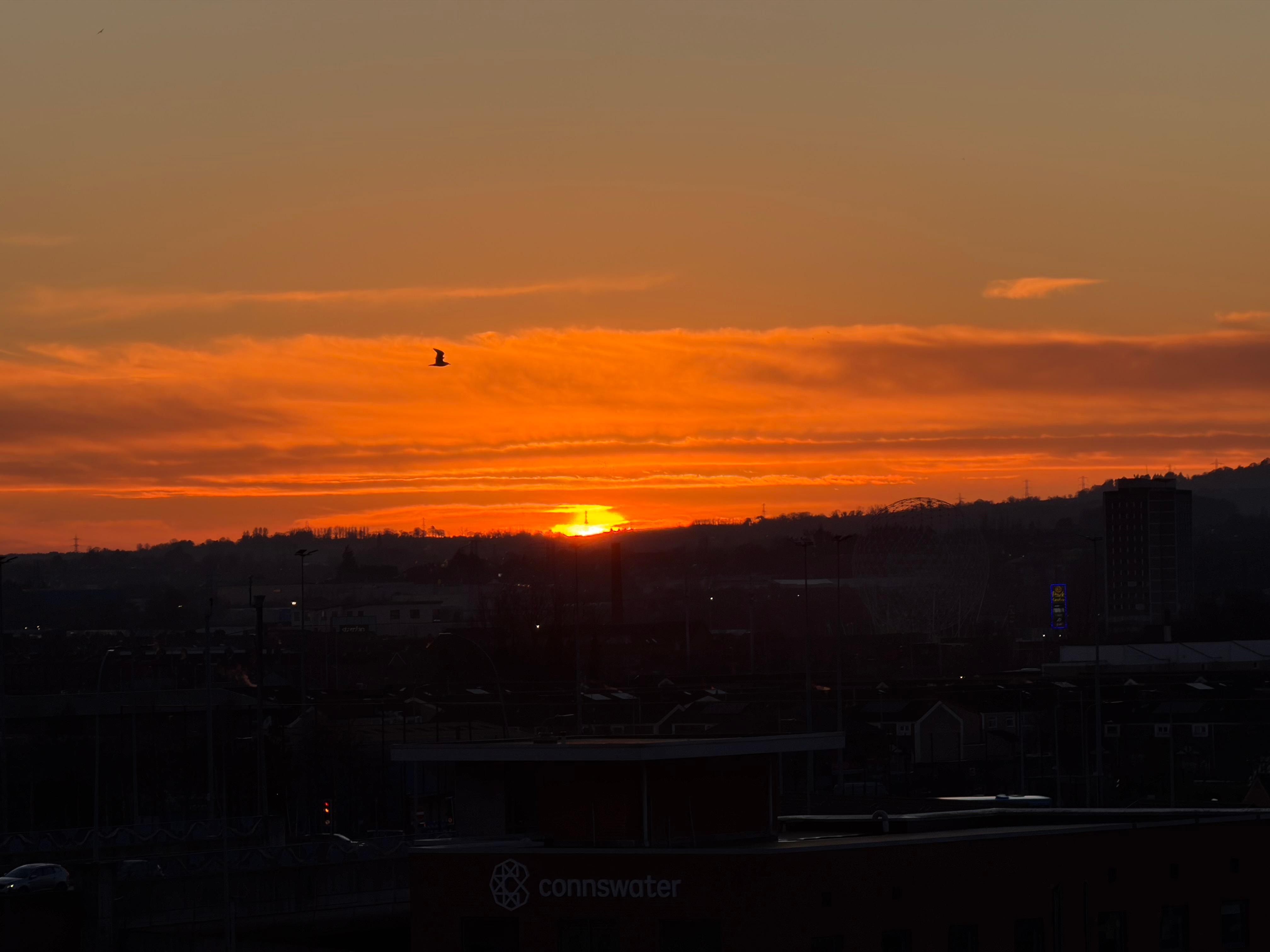 From one of our rooms. 