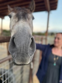 Helios says hello!