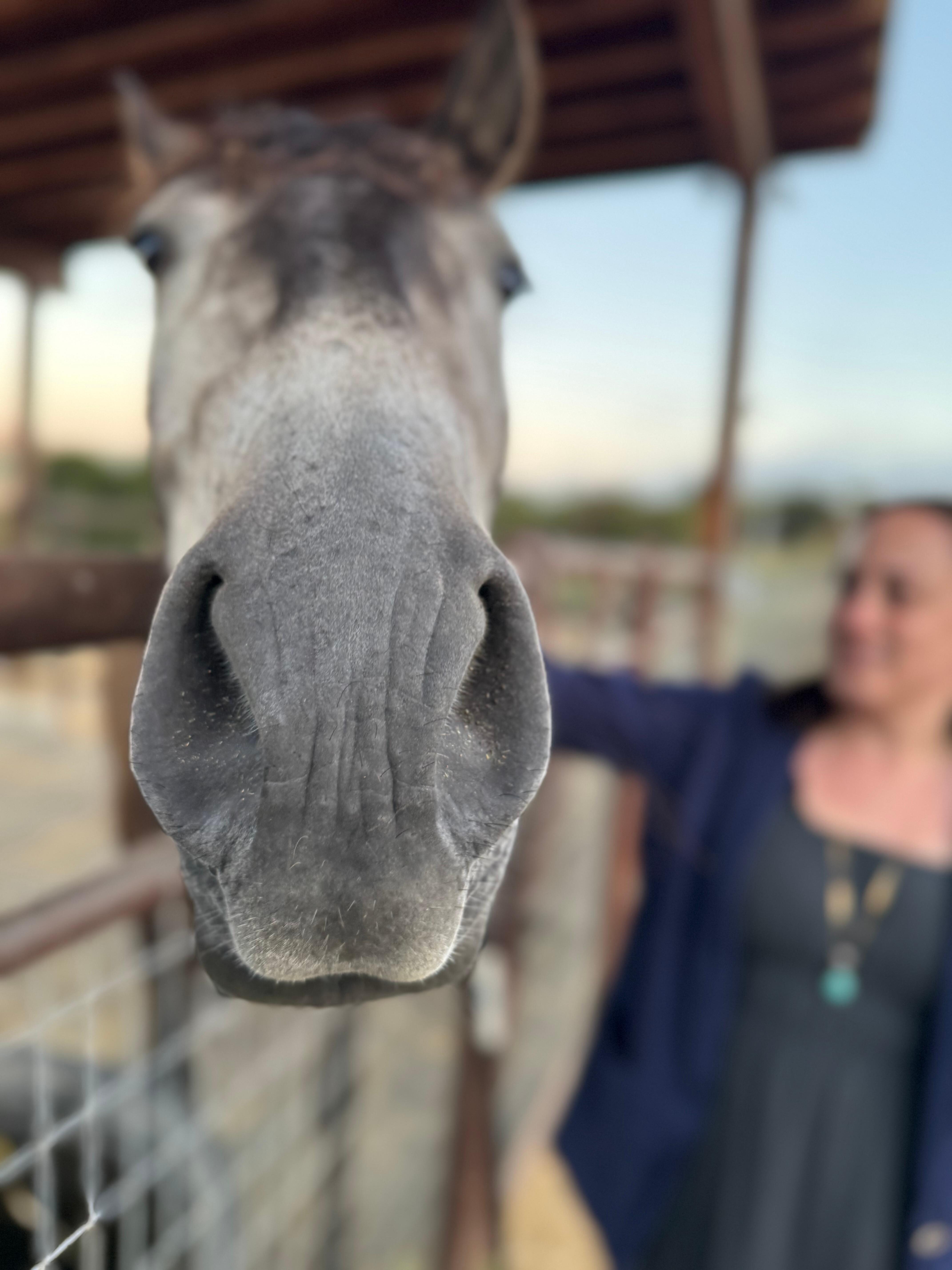 Helios says hello!