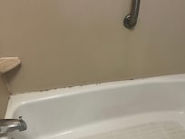 Mold on bathtub