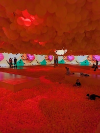 Balloon exhibit at Palace of fine arts! Slow start but second half was a blast
