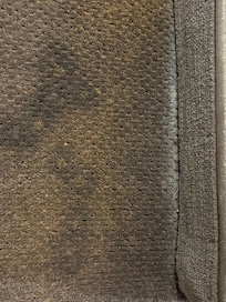 Disgusting carpet