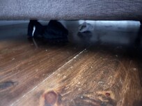 Dirty under bed random stuff underbed