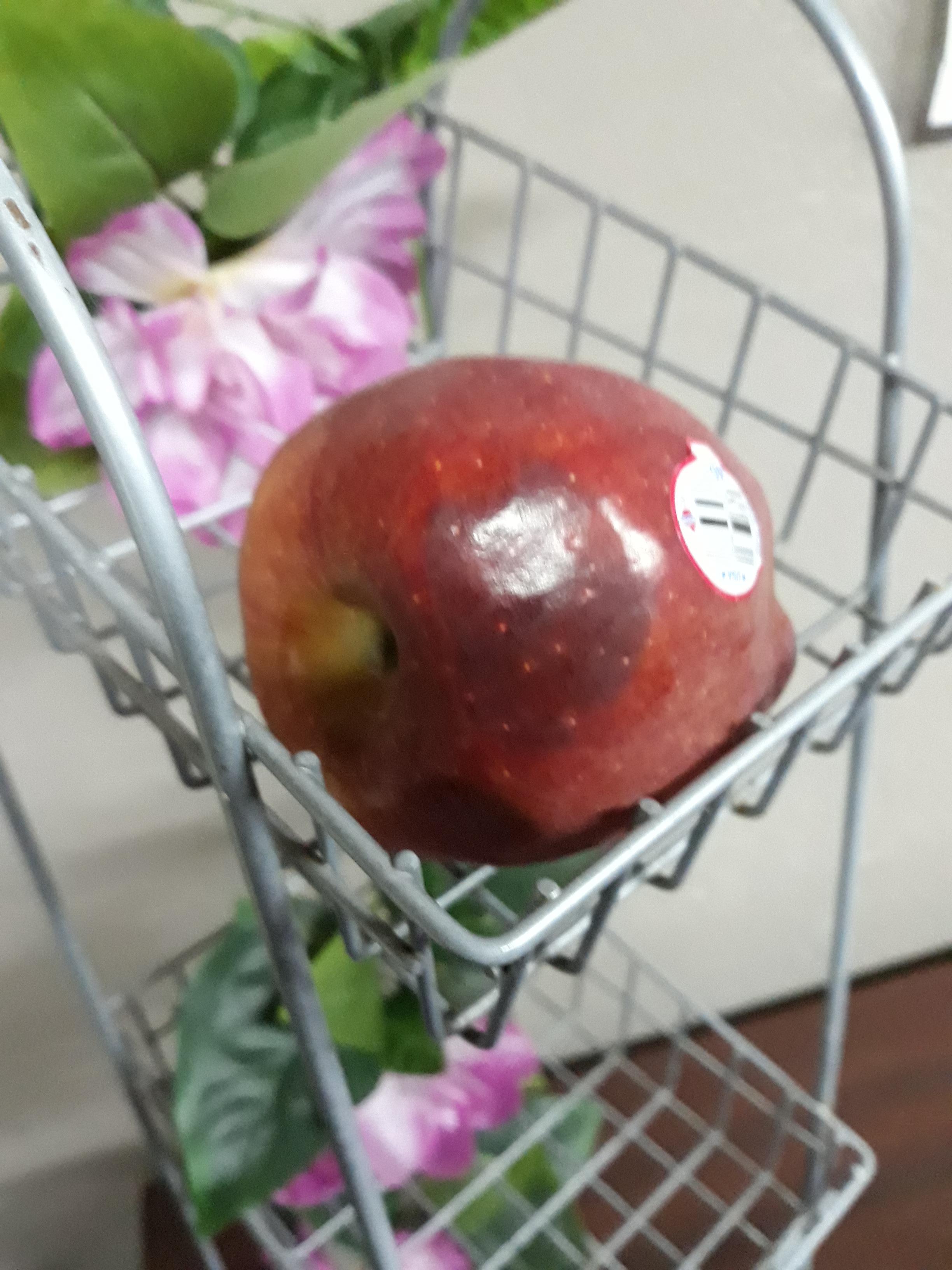 One rotting lonely Apple sitting for 2 days or who knows how long?!