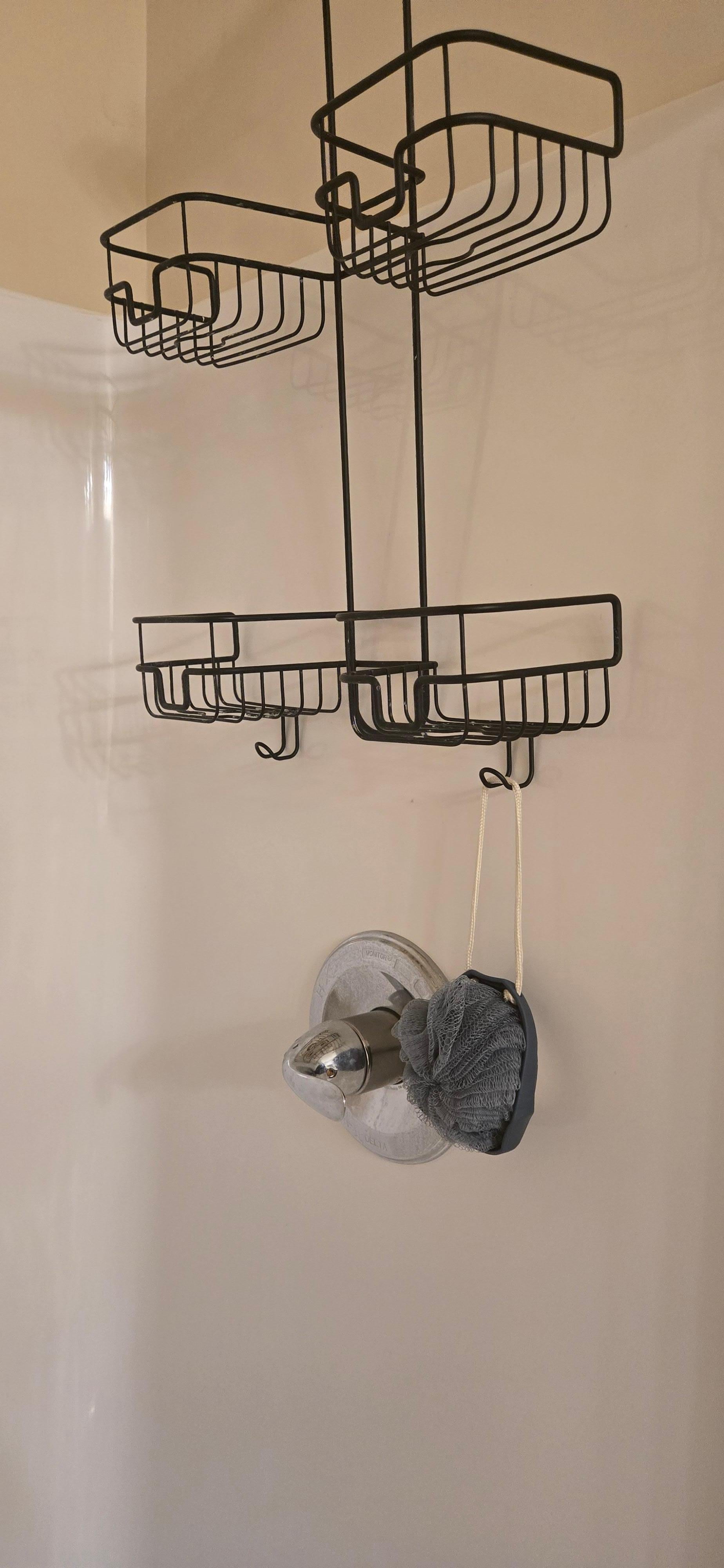 Used loofah left in shower