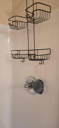 Used loofah left in shower