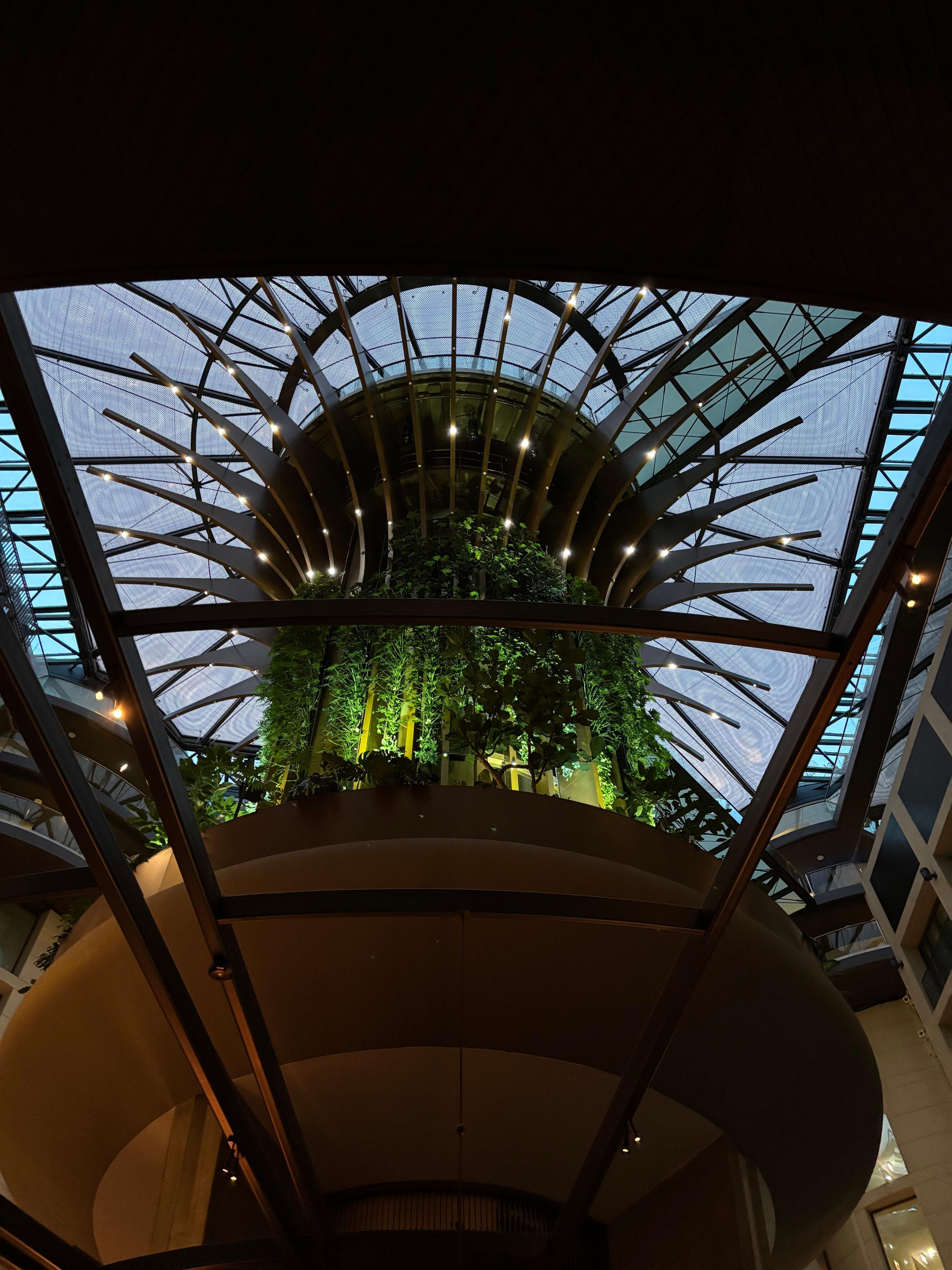 Decoration in the center of the hotel. View from the bar. 