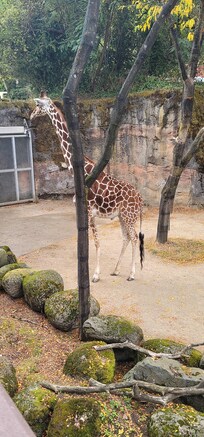 Oregon zoo