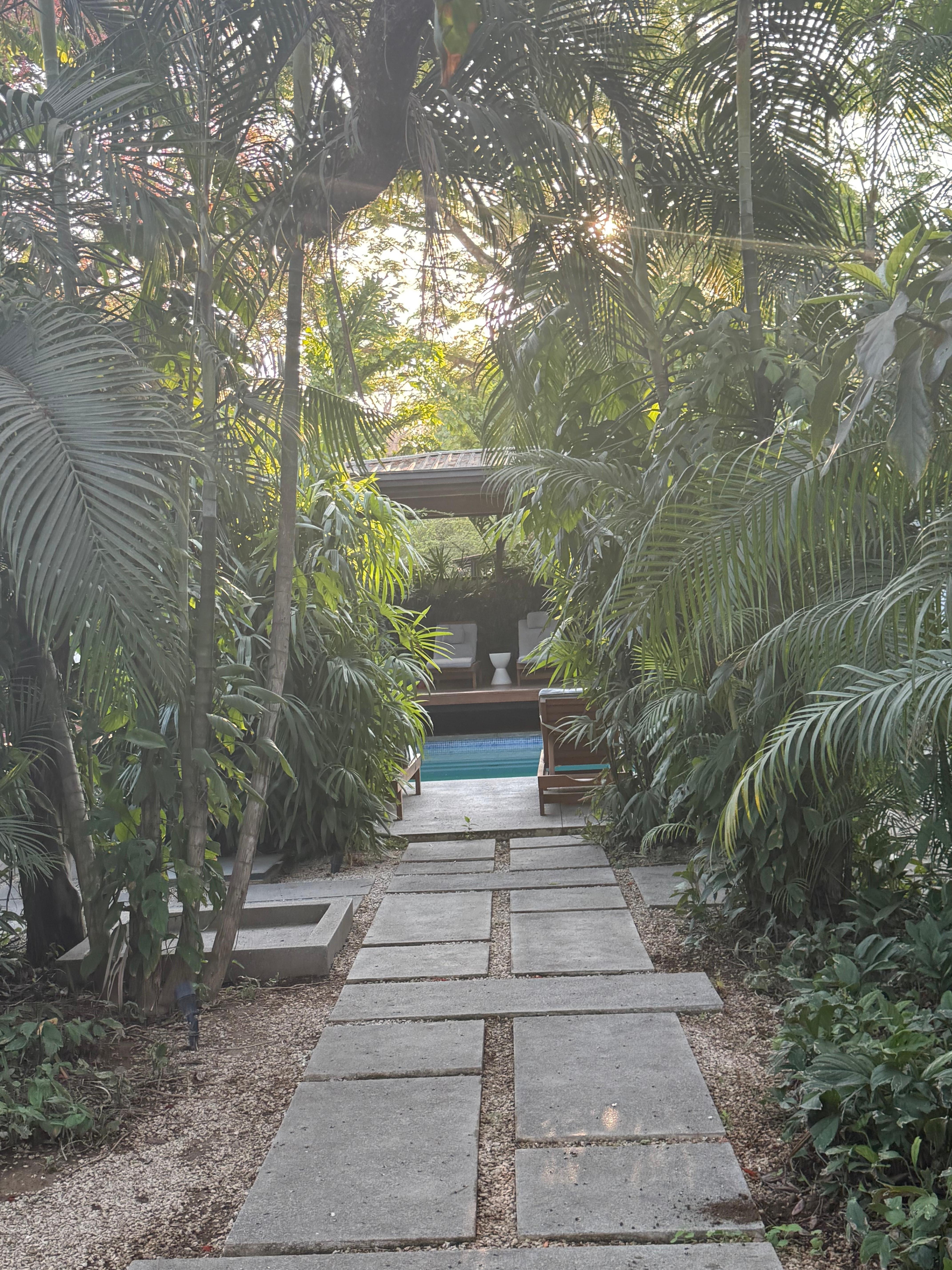 lots of green lush vegetation